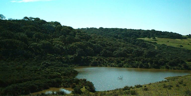 Cañada Real a San Enrique